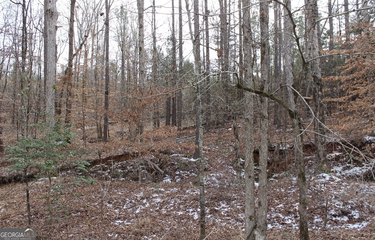 20 Turning Point Way Elberton, GA 30635 - Photo 35 of 40 a view of a forest with trees in the background