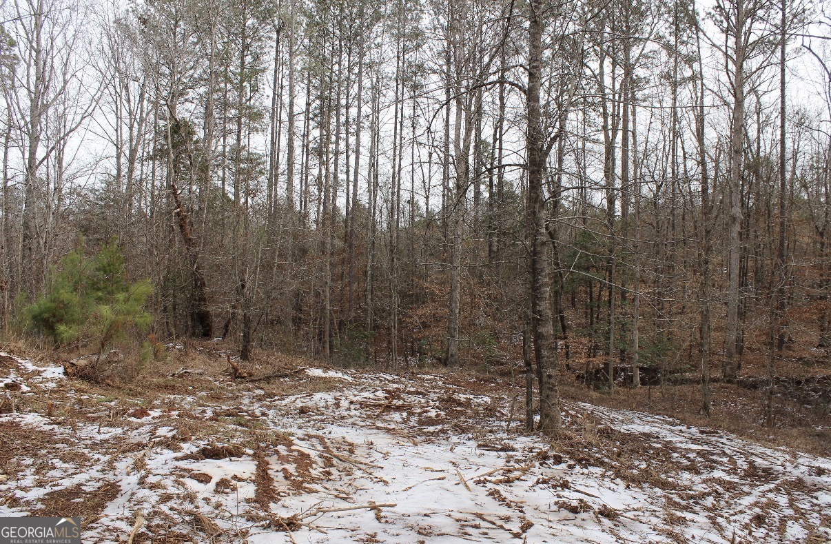 20 Turning Point Way Elberton, GA 30635 - Photo 36 of 40 a backyard of a house with lots of green space