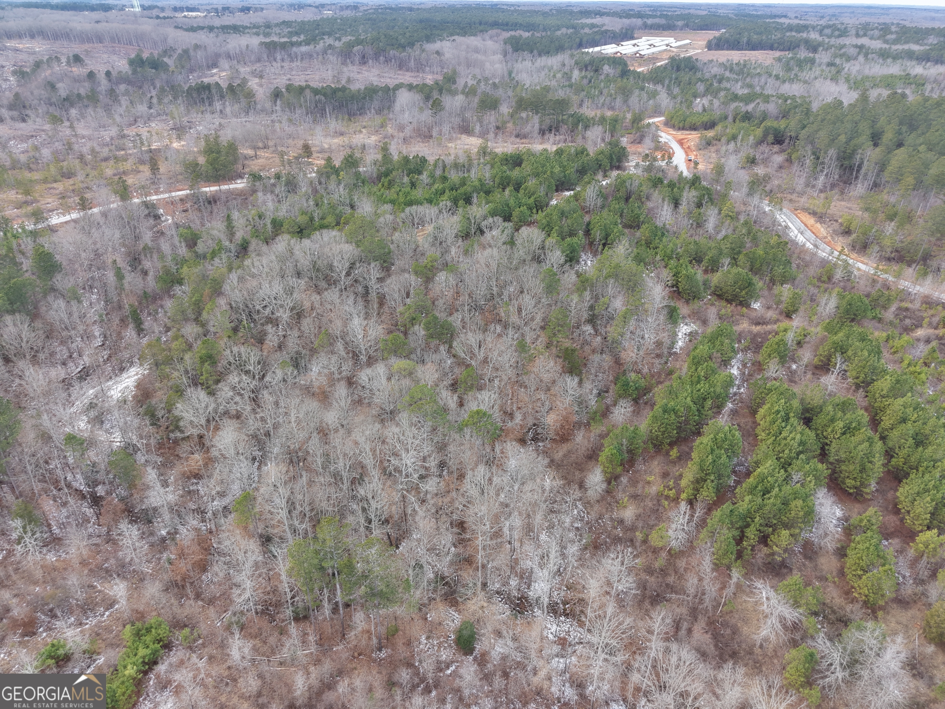 20 Turning Point Way Elberton, GA 30635 - Photo 5 of 40 a view of a dry yard with green space and fog