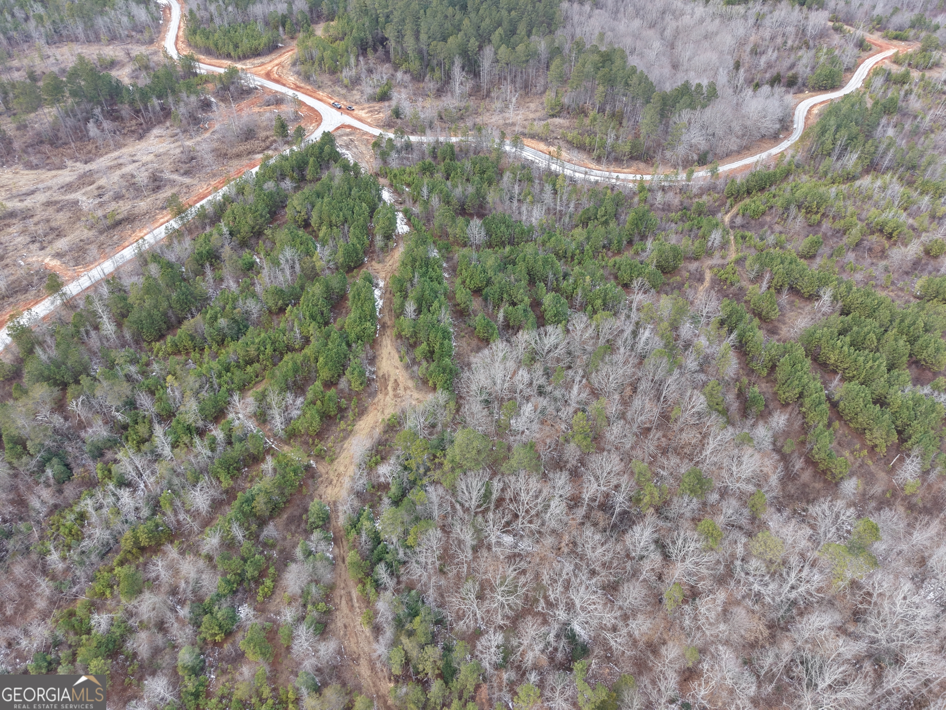 20 Turning Point Way Elberton, GA 30635 - Photo 9 of 40 a view of a forest with a tree
