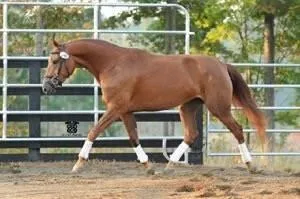 $1,899,000 | 975 Blalock Lakes Drive, Newnan, GA 30263