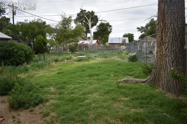 a view of a field with a tree