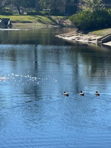 a view of a lake view
