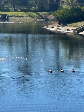 a view of a lake with houses