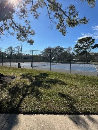 a view of a backyard