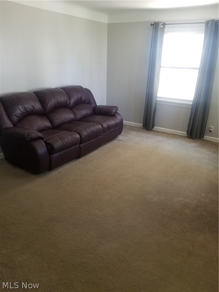 12828 Thraves Road Cleveland, OH 44125 - Photo 13 of 21 Gallery Image 13