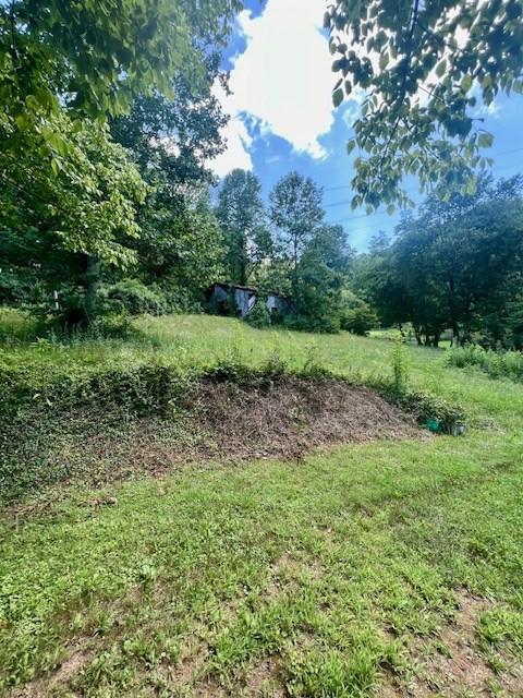534 Long Branch Road Robbinsville, NC 28771 - Photo 2 of 14 Gallery Image 2
