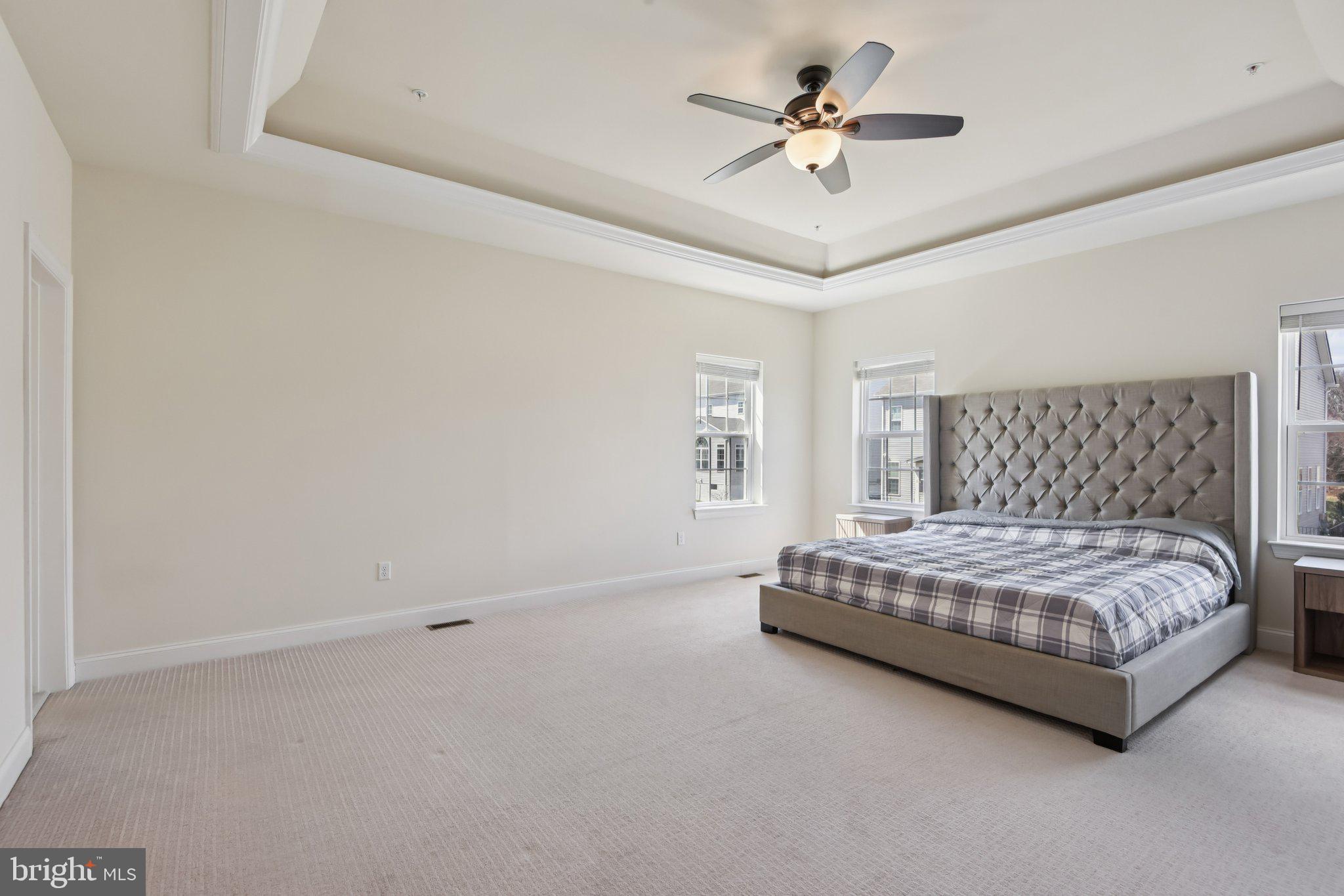 8616 Doves Fly Way Laurel, MD 20723 - Photo 29 of 90 tray ceiling