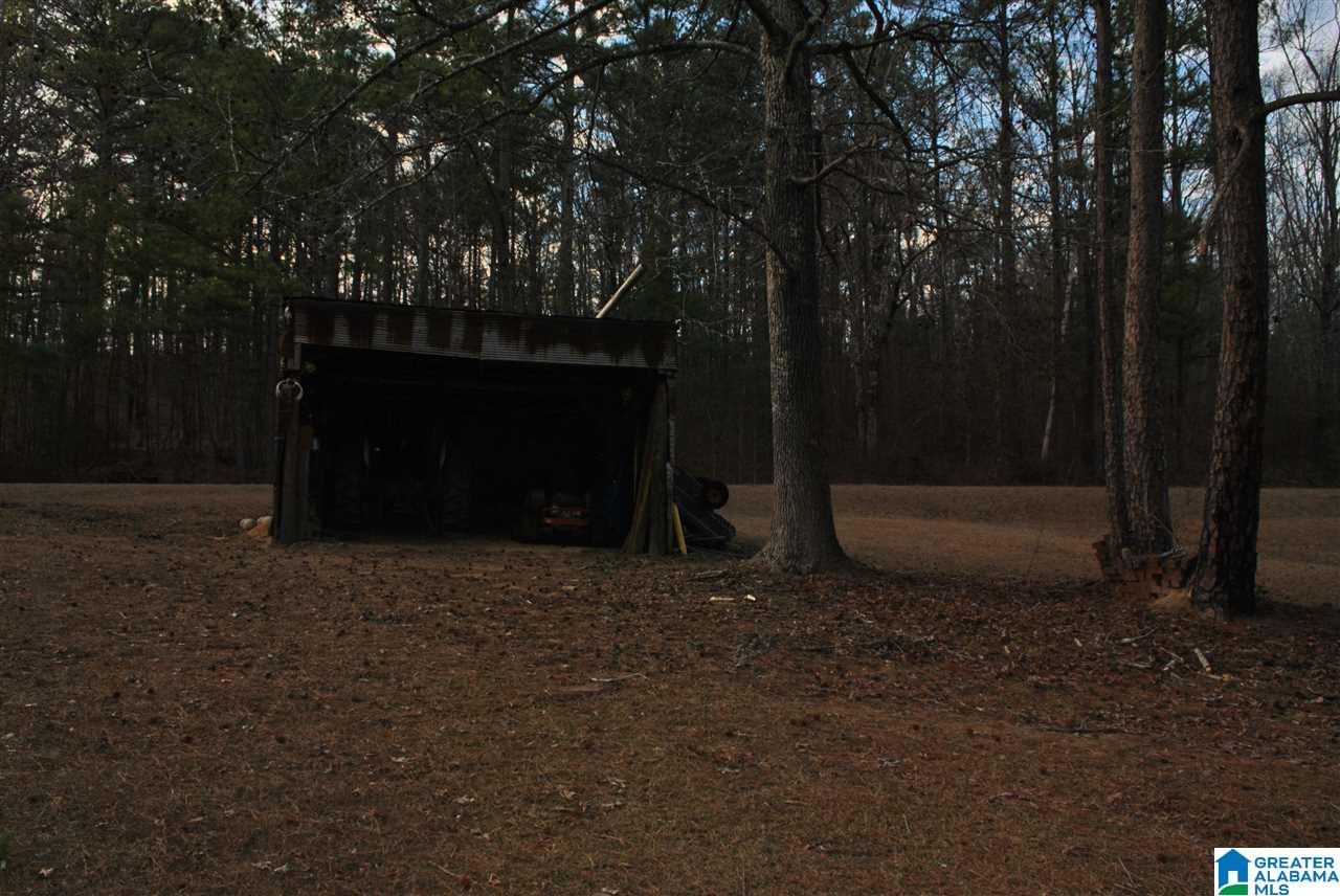280 Bell Road Nauvoo, AL 35578 - Photo 18 of 23