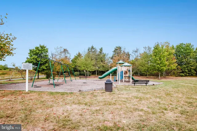 a palm tree sitting in the middle of a yard