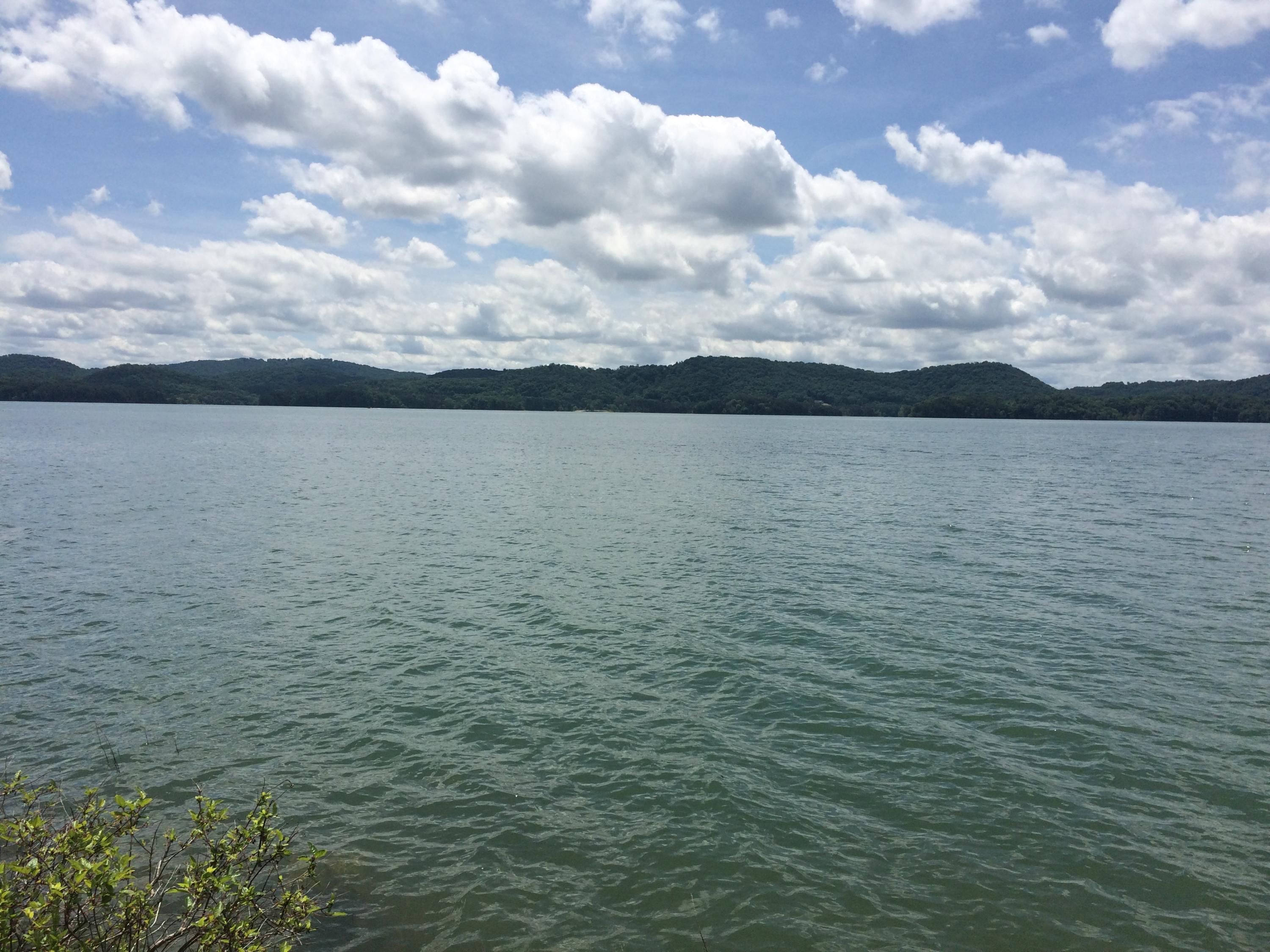 Whipperwill Lane Rutledge, TN 37861 - Photo 2 of 11 IMG_1248