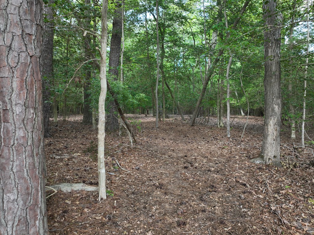 Lot 1 Mt Nebo Road, Unit 1 Onancock, VA 23417 - Photo 15 of 19