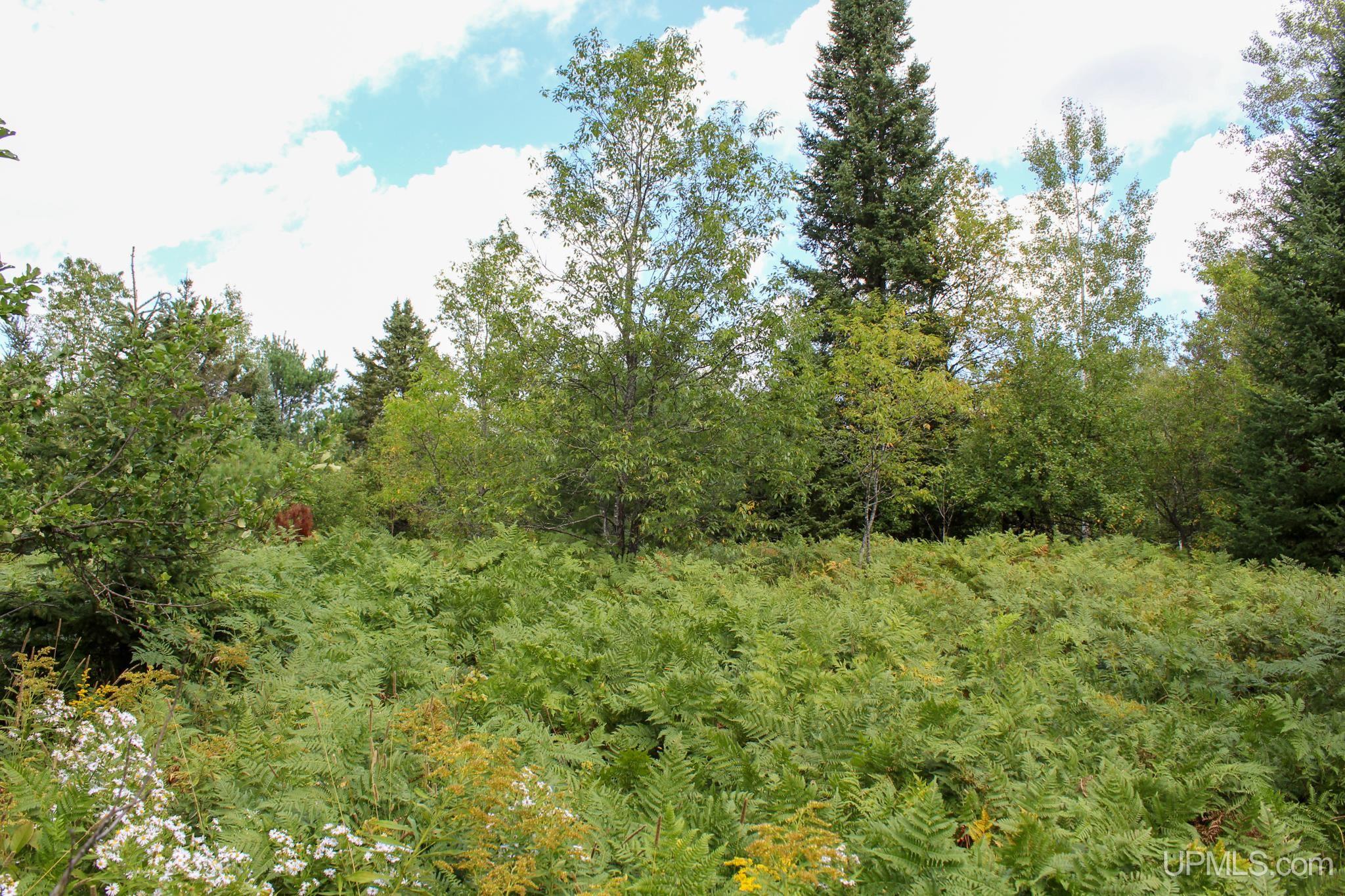 Tbd Michaelson Road Pelkie, MI 49958 - Photo 35 of 73 Gallery Image 35