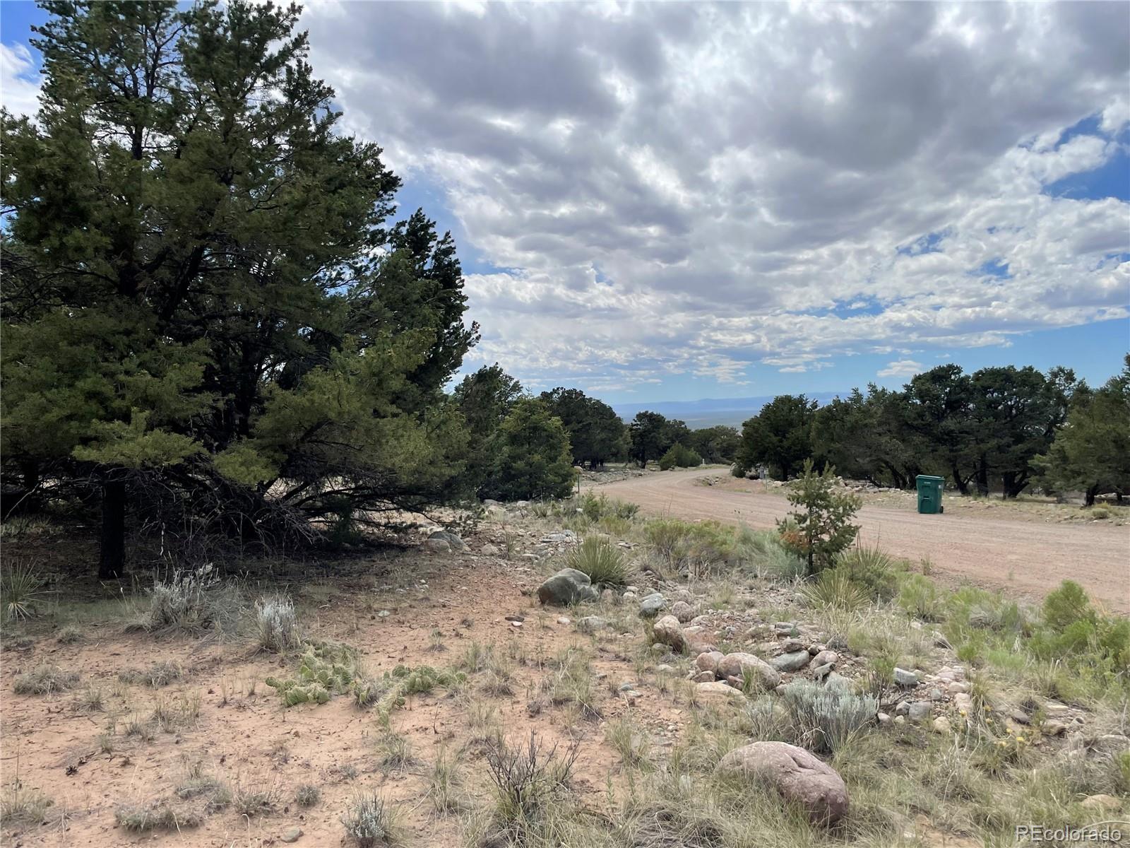 4303 Fallen Tree Way Crestone, CO 81131 - Photo 10 of 19