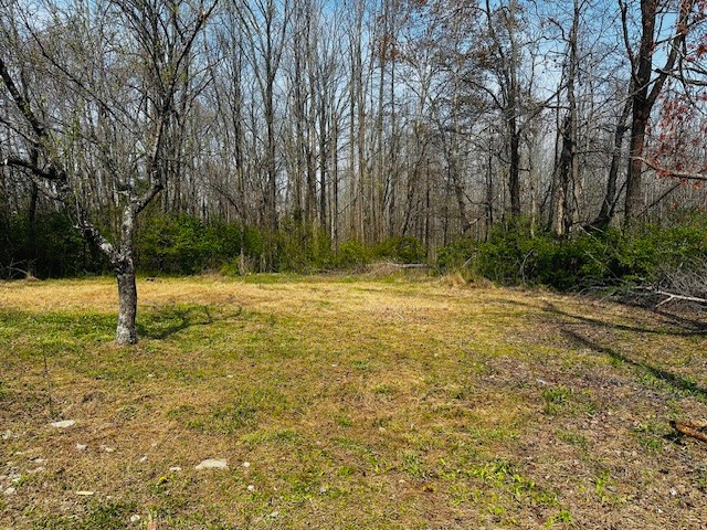 7120 Cobb Circle Fairview, TN 37062 - Photo 1 of 28 a backyard of a house with lots of tress