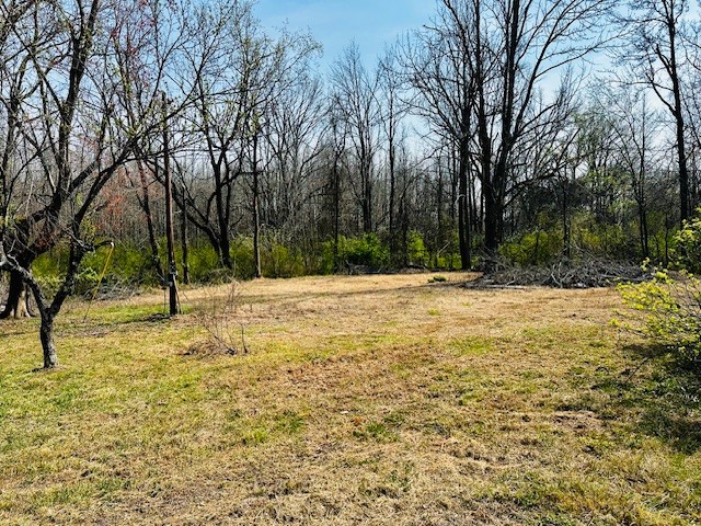 7120 Cobb Circle Fairview, TN 37062 - Photo 11 of 28 a view of outdoor space with trees