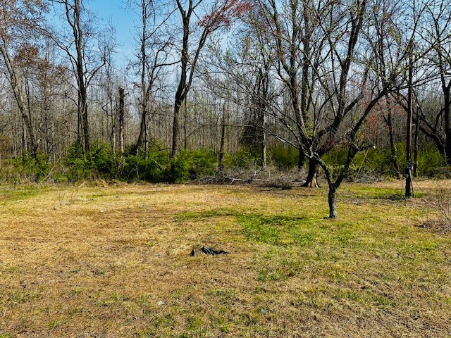 7120 Cobb Circle Fairview, TN 37062 - Photo 12 of 28
