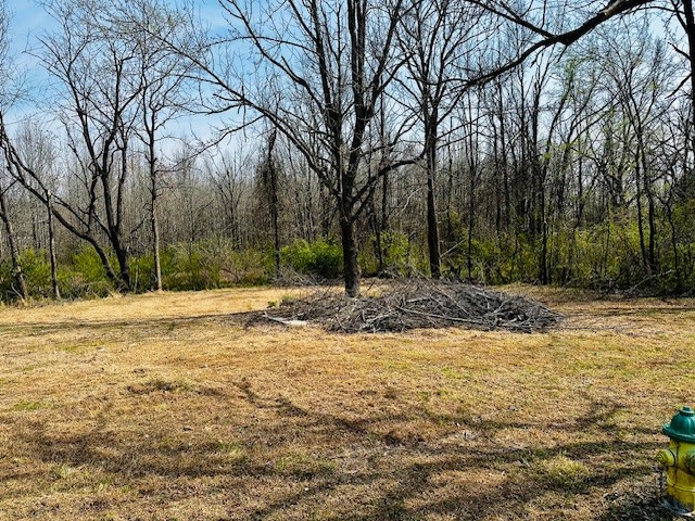 7120 Cobb Circle Fairview, TN 37062 - Photo 14 of 28 a view of a yard with a house