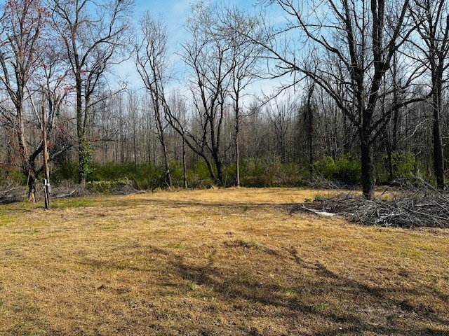 7120 Cobb Circle Fairview, TN 37062 - Photo 15 of 28 a backyard of a house with large trees