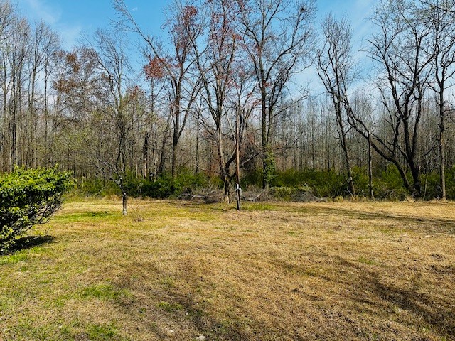 7120 Cobb Circle Fairview, TN 37062 - Photo 16 of 28 a view of a yard with trees