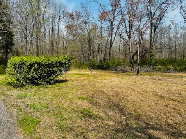 7120 Cobb Circle Fairview, TN 37062 - Photo 17 of 28 a view of swimming pool with an outdoor space
