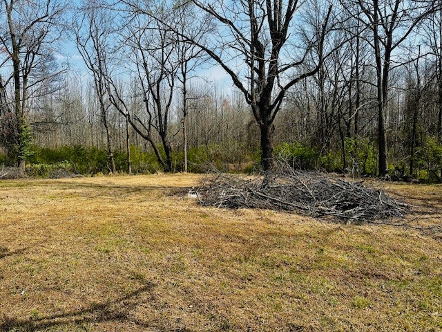 7120 Cobb Circle Fairview, TN 37062 - Photo 18 of 28 a view of outdoor space with trees