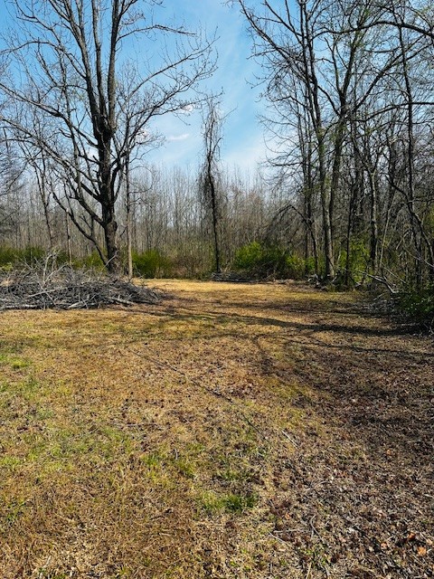 7120 Cobb Circle Fairview, TN 37062 - Photo 19 of 28 a view of a backyard of the house