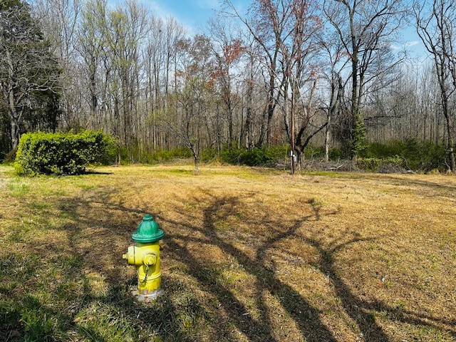 7120 Cobb Circle Fairview, TN 37062 - Photo 20 of 28 a view of a back yard with a trees