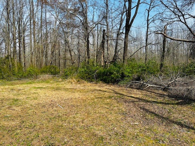 7120 Cobb Circle Fairview, TN 37062 - Photo 2 of 28 a view of outdoor space with trees