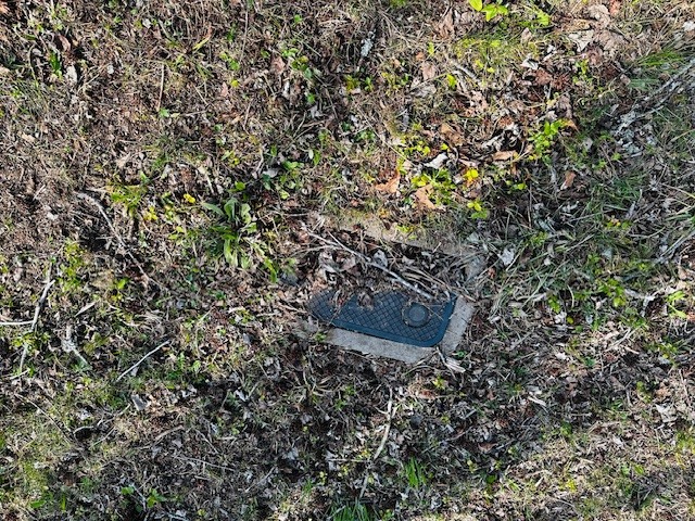 7120 Cobb Circle Fairview, TN 37062 - Photo 21 of 28 a view of a dry yard with lots of bushes