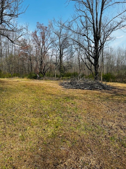 7120 Cobb Circle Fairview, TN 37062 - Photo 22 of 28 a view of a yard with large trees