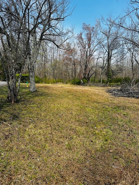 7120 Cobb Circle Fairview, TN 37062 - Photo 23 of 28