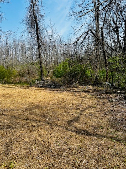 7120 Cobb Circle Fairview, TN 37062 - Photo 24 of 28 a view of a lake view