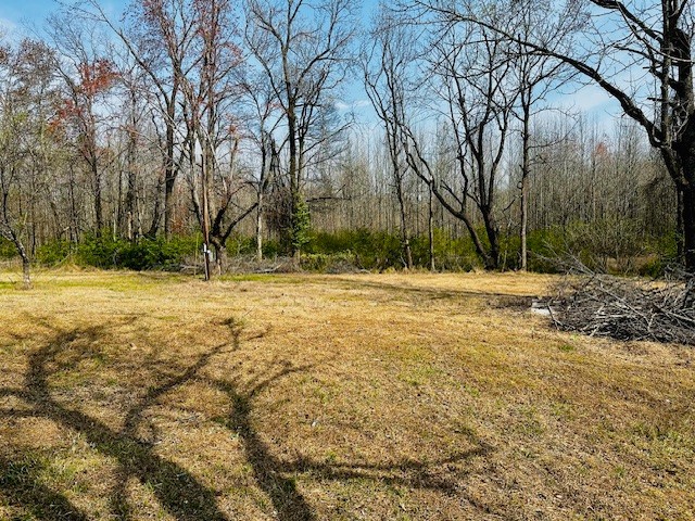 7120 Cobb Circle Fairview, TN 37062 - Photo 25 of 28 a view of outdoor space with trees