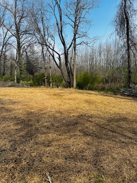 7120 Cobb Circle Fairview, TN 37062 - Photo 26 of 28 a view of a yard with trees