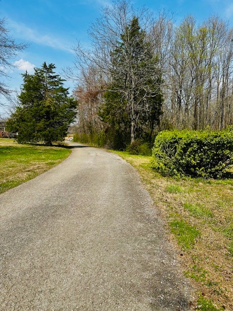 7120 Cobb Circle Fairview, TN 37062 - Photo 28 of 28 a view of a big yard with plants and large trees