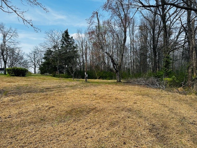 7120 Cobb Circle Fairview, TN 37062 - Photo 3 of 28 a backyard of a house with lots of green space