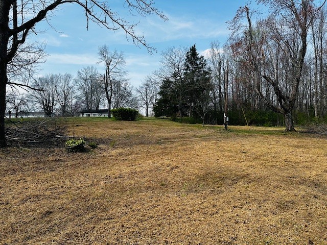 7120 Cobb Circle Fairview, TN 37062 - Photo 5 of 28 a view of outdoor space with trees