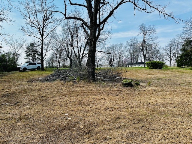 7120 Cobb Circle Fairview, TN 37062 - Photo 6 of 28 a backyard of a house with lots of green space