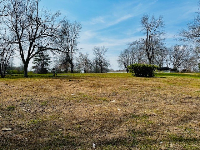 7120 Cobb Circle Fairview, TN 37062 - Photo 7 of 28 a view of a yard with a house
