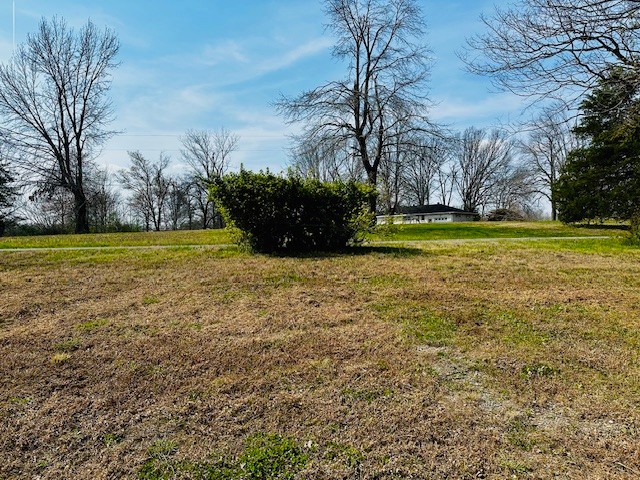 7120 Cobb Circle Fairview, TN 37062 - Photo 8 of 28 a view of a yard with a house