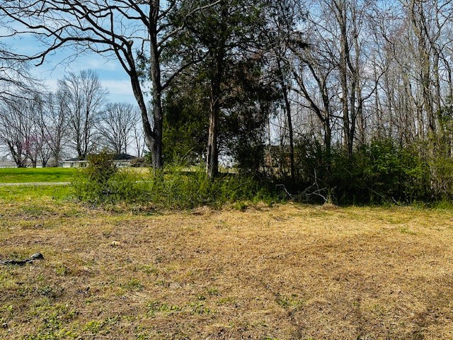 7120 Cobb Circle Fairview, TN 37062 - Photo 10 of 28 a backyard of a house with lots of green space
