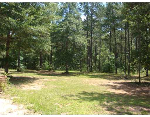 62374 Uneedus Trace Road Amite, LA 70422 - Photo 18 of 21 Gallery Image 18