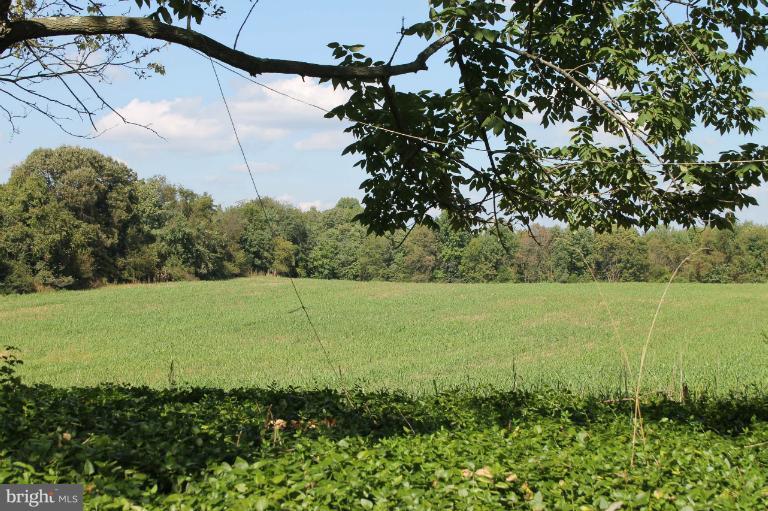 9328 Meetze Road Midland, VA 22728 - Photo 1 of 6 Open land