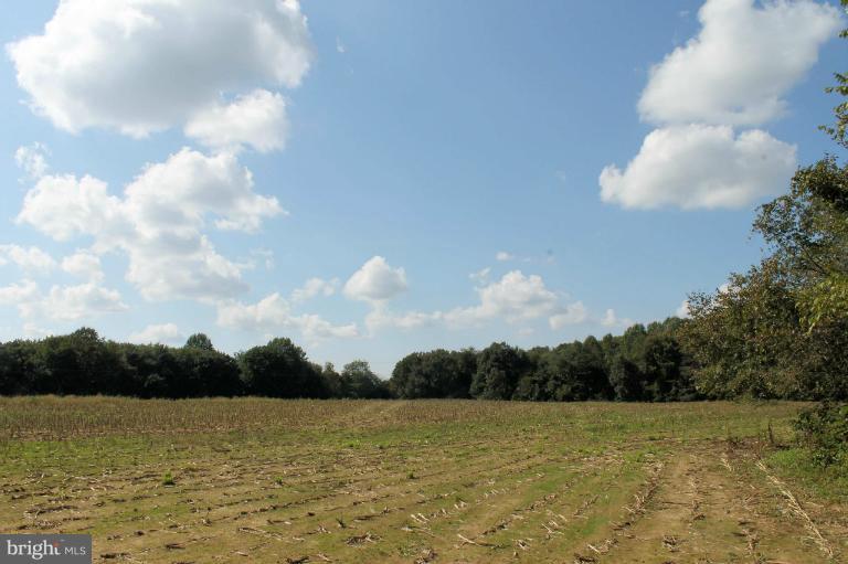 9328 Meetze Road Midland, VA 22728 - Photo 3 of 6 Open Land