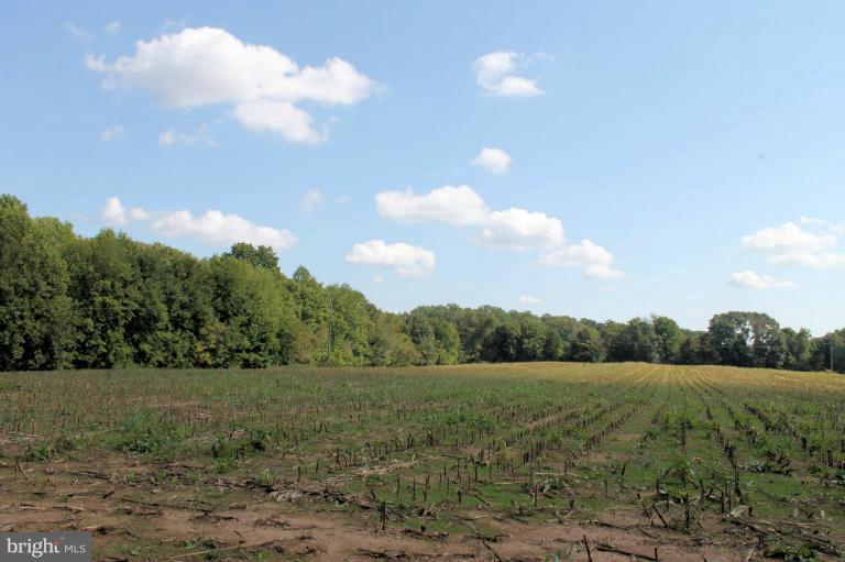 9328 Meetze Road Midland, VA 22728 - Photo 4 of 6 Open land