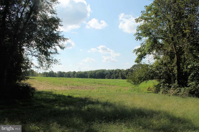 9328 Meetze Road Midland, VA 22728 - Photo 5 of 6 Open Land