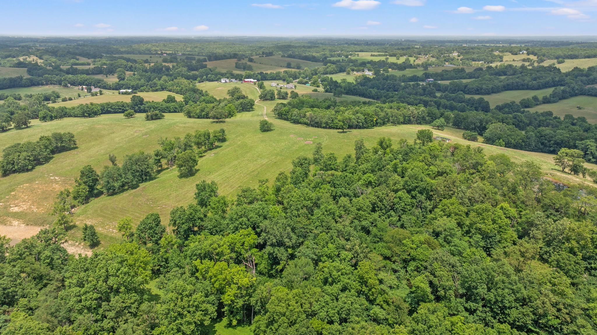 783 Rutland Road Cynthiana, KY 41031 - Photo 44 of 50 DJI_20260618123902_0880_D