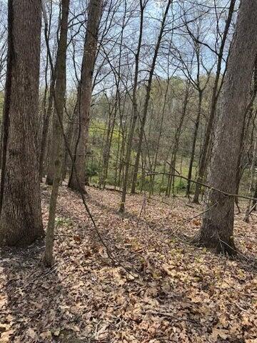 0 Walnut Dowler Road Logan, OH 43138 - Photo 11 of 12 11