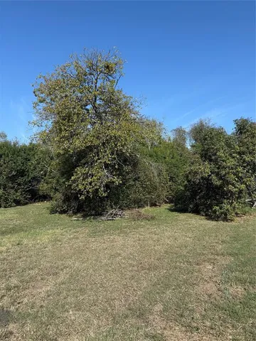 a view of a yard with a tree